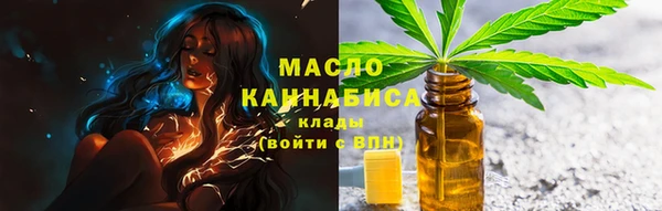 гидра Володарск