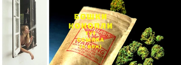 гидра Володарск