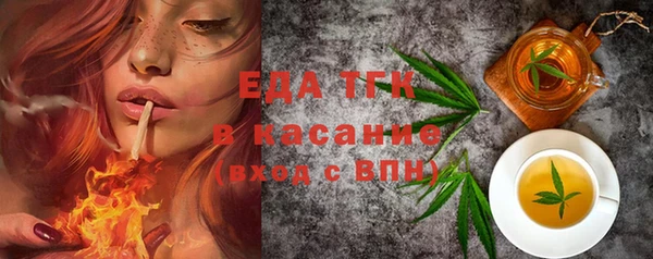 гидра Володарск