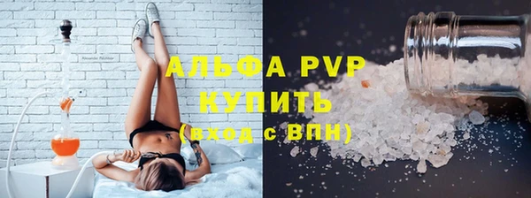 гидра Володарск